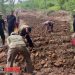 Dukung Ketahanan Pangan, Brimob Polri Siapkan 5 Ha Lahan untuk Tanam Jagung Bareng Warga Karawang Timur