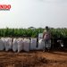 Warga Tidak Dilibatkan, BPD Cimanis Sobang Kecam PT Perkebunan Dewa Agri
