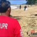 Respon Instruksi Presiden UPTD Pengelolaan DAS Ciliman-Cisawarna DPUPR Bantten Bersihkan Sampah di Pantai Pulomanuk